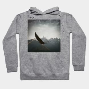 Raven Take Off Option Hoodie